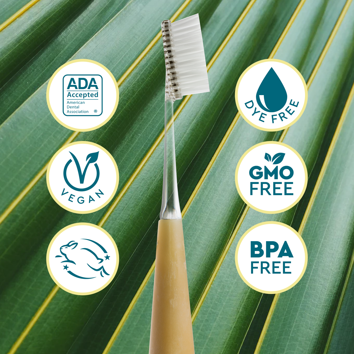 Source™ Brush