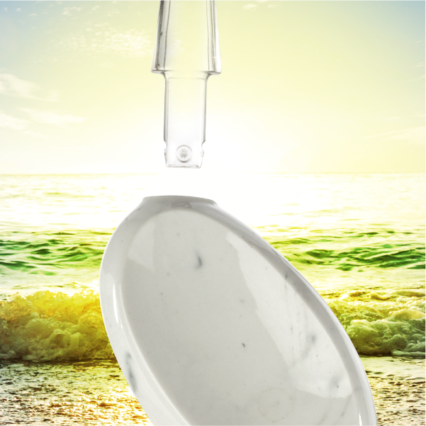 Big Brush Replacement Heads (2 pack)