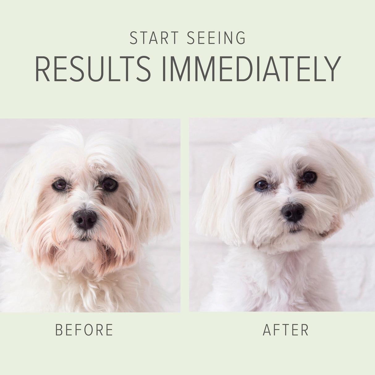 2-in-1 Whitening and Brightening Shampoo & Conditioner (Milk and Honey)