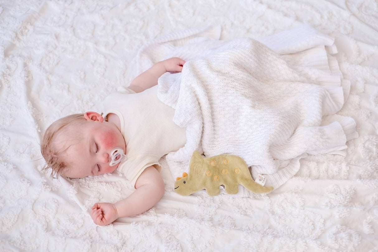 Triceratops Organic Crinkle Toy