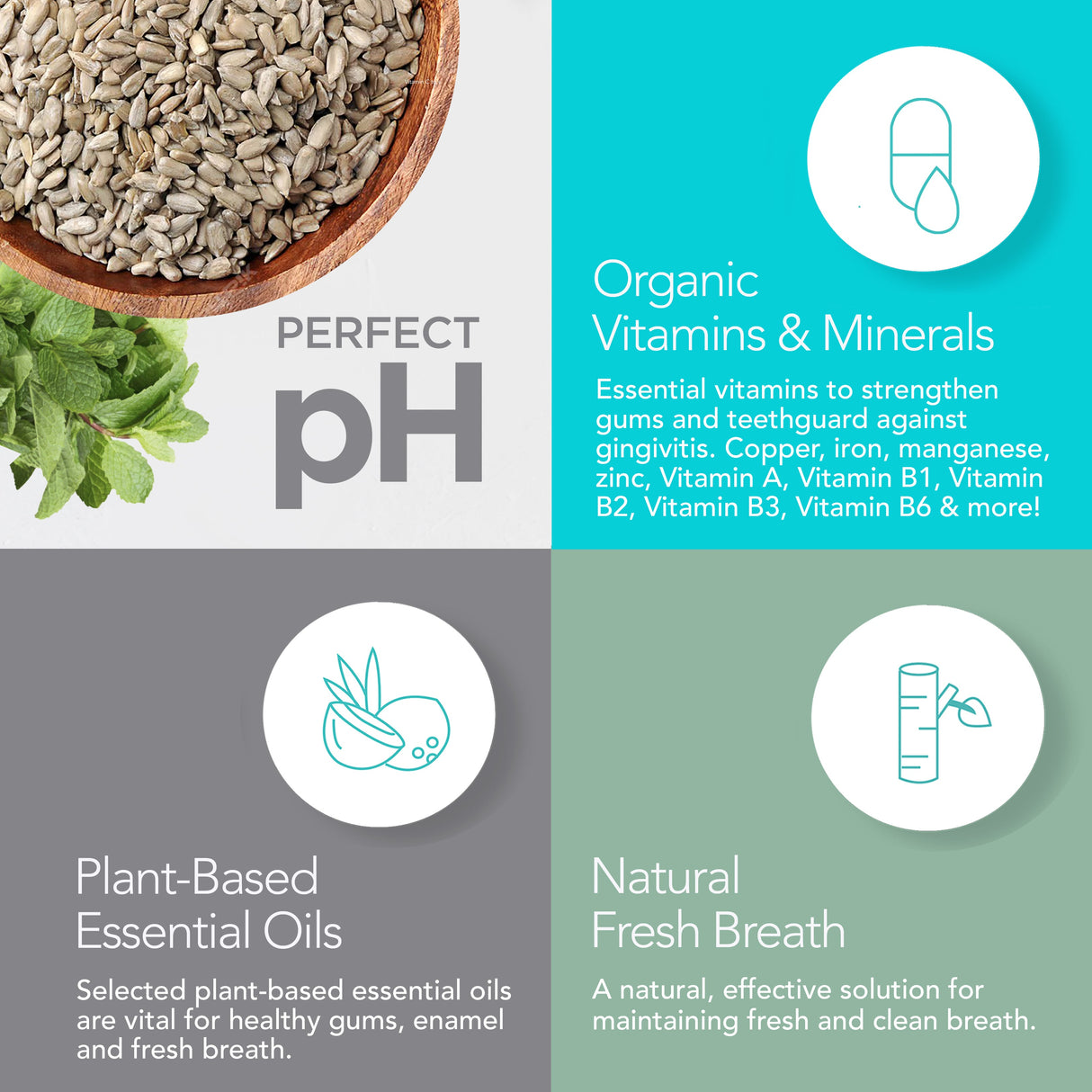 Fresh Mint Travel Collection