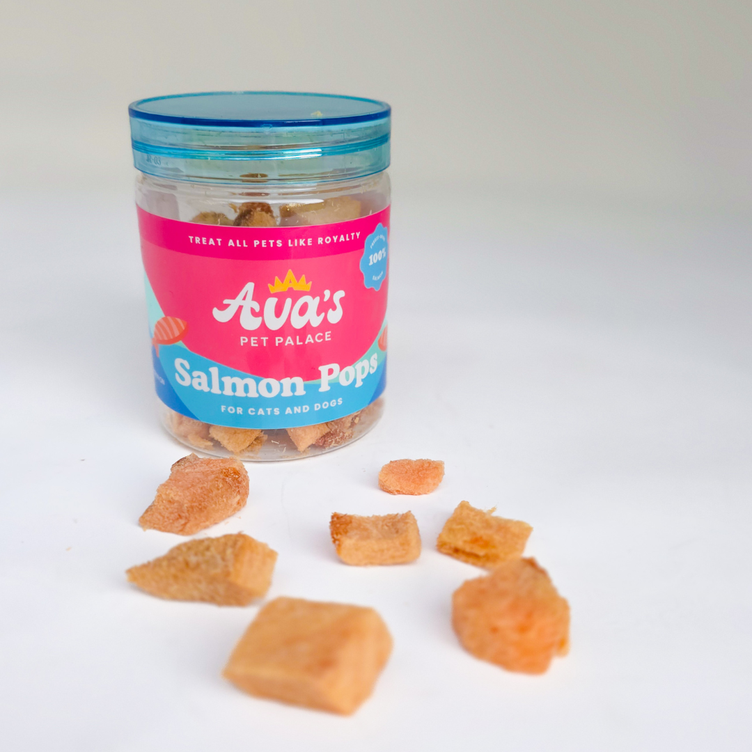 Freeze Dried Salmon - Salmon Pops
