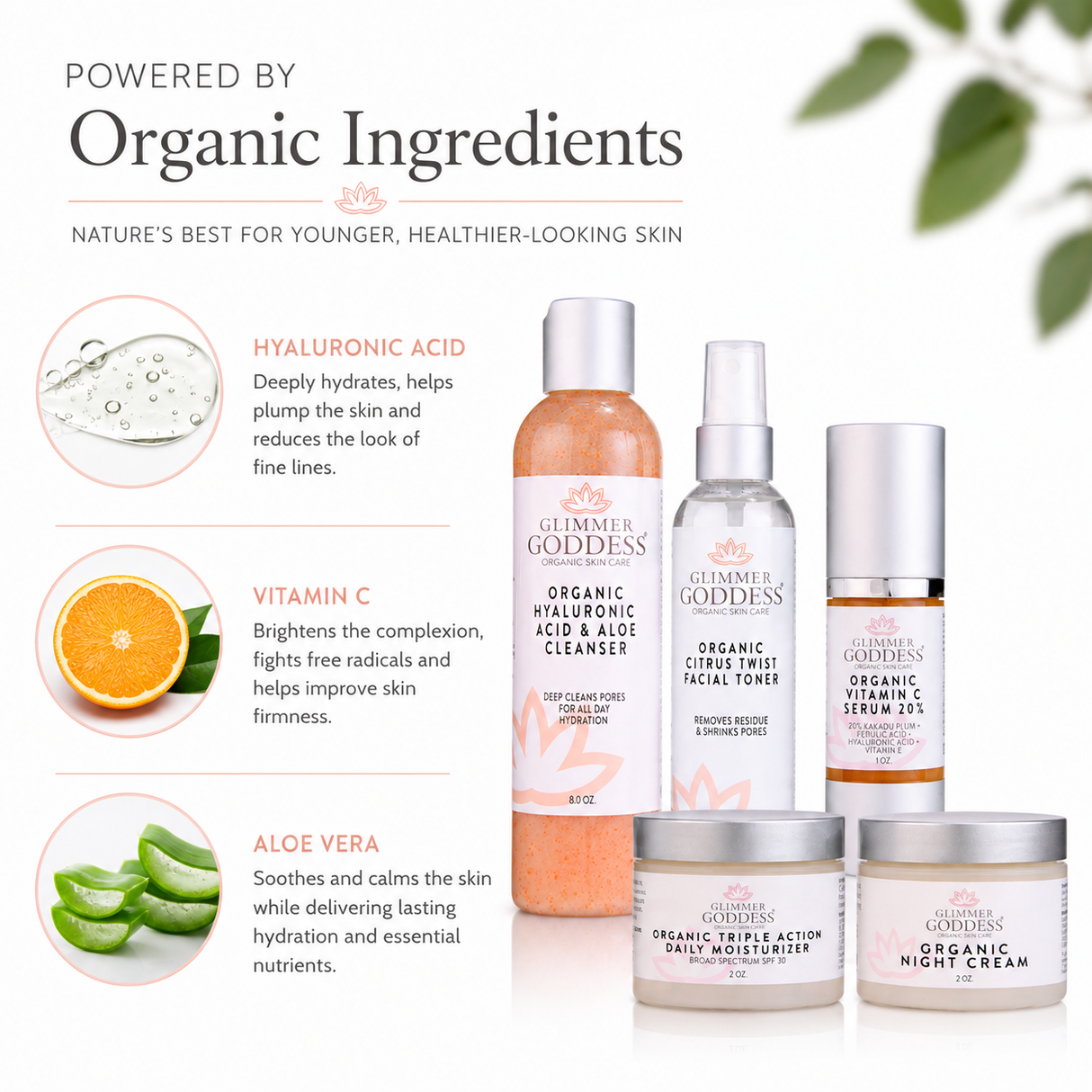 Organic Anti-Wrinkle Solution 5 PC Kit