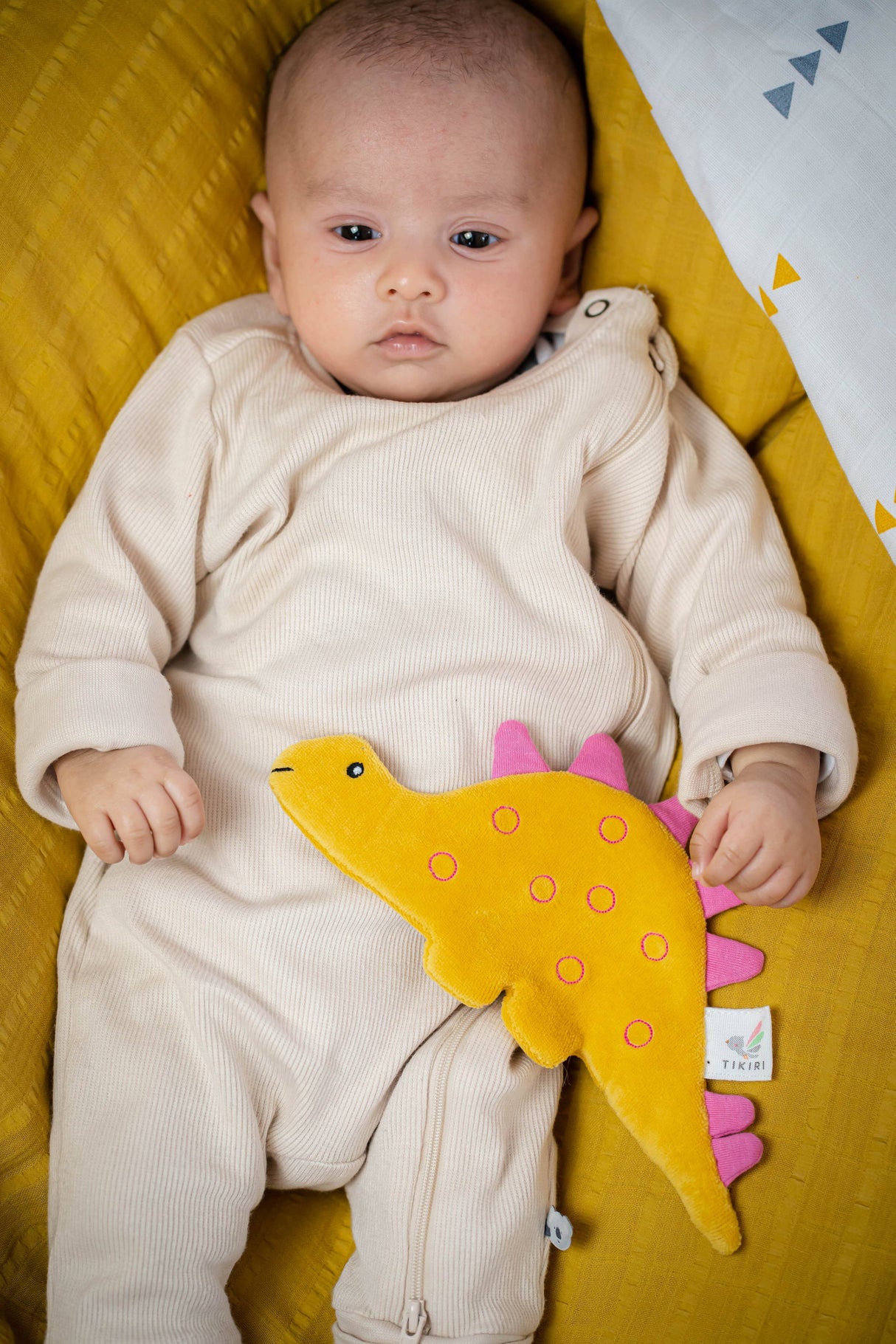 Organic Fabric Crinkle Toy: Stego the Stegosaurus