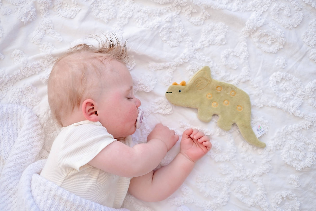 Triceratops Organic Crinkle Toy