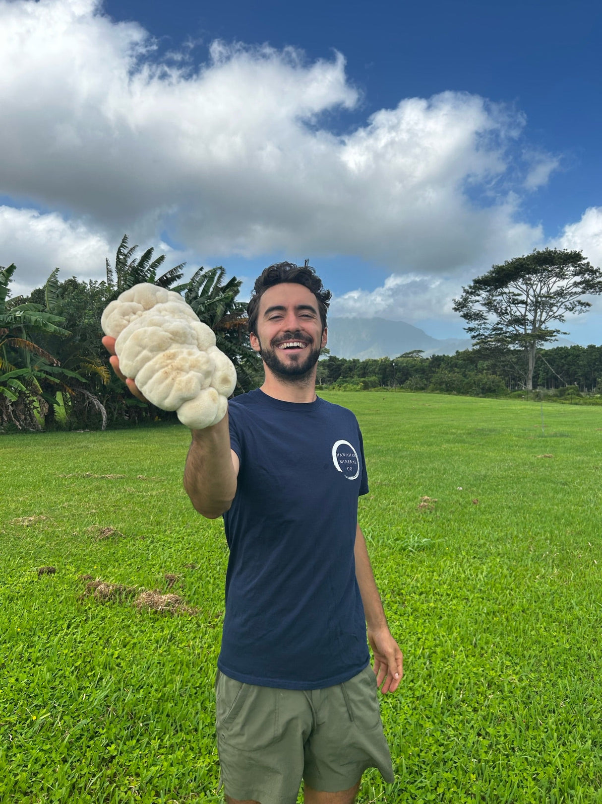 Lion’s Mane Cacao (energy)