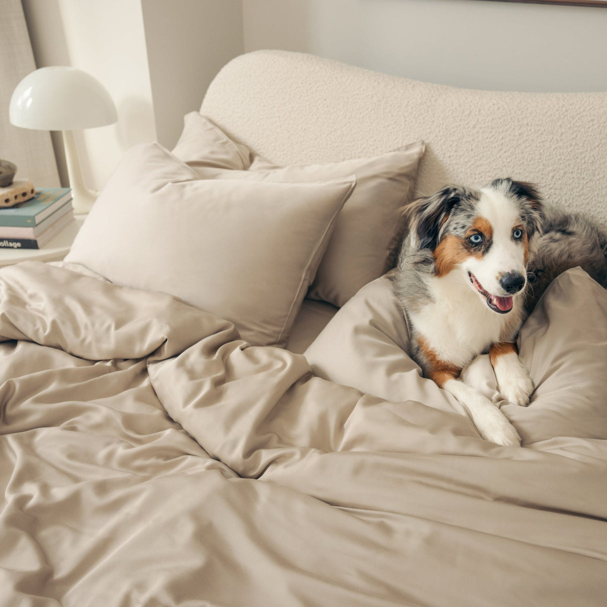 Organic Bamboo Sateen Bed Sheet Set