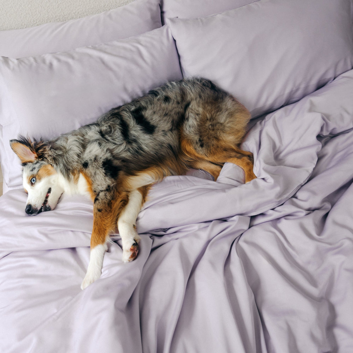 Organic Bamboo Sateen Bed Sheet Set