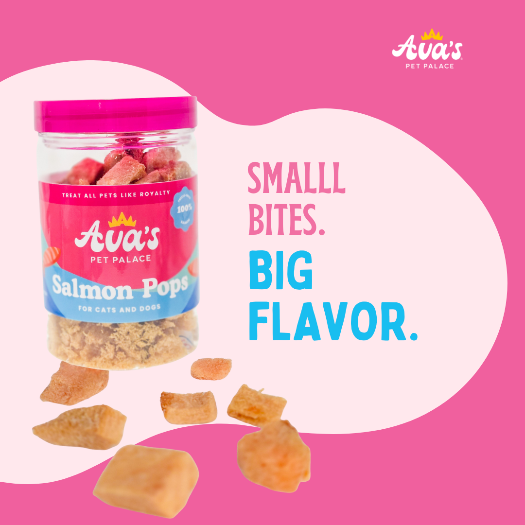 Freeze Dried Salmon - Salmon Pops