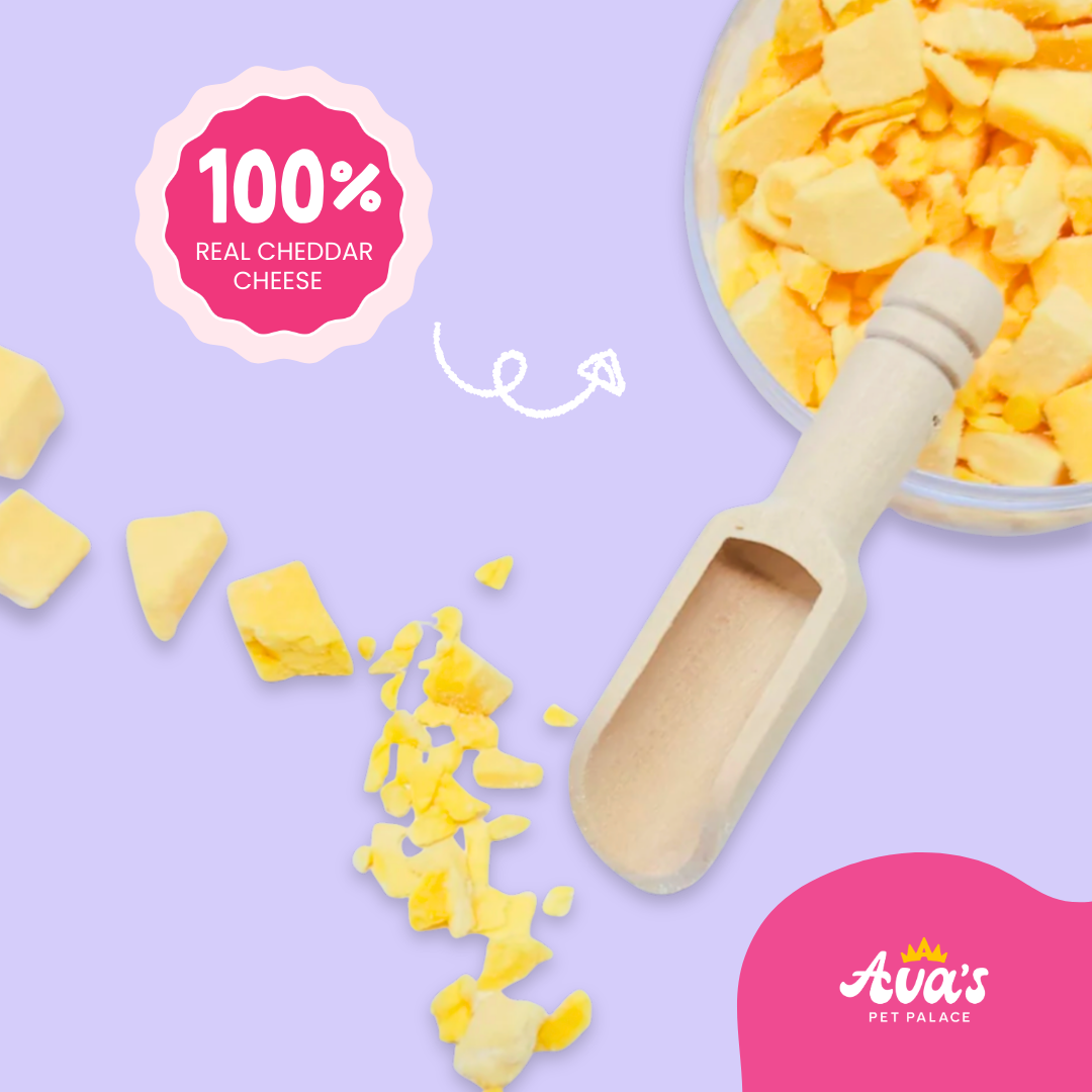 Freeze Dried Cheddar Pop Topper