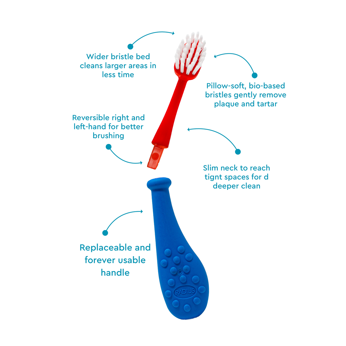 Big Kidz® Replaceable Head Forever Brush® (6yrs+)