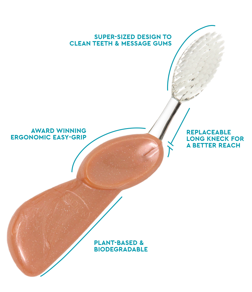 Big Brush with Replaceable Head