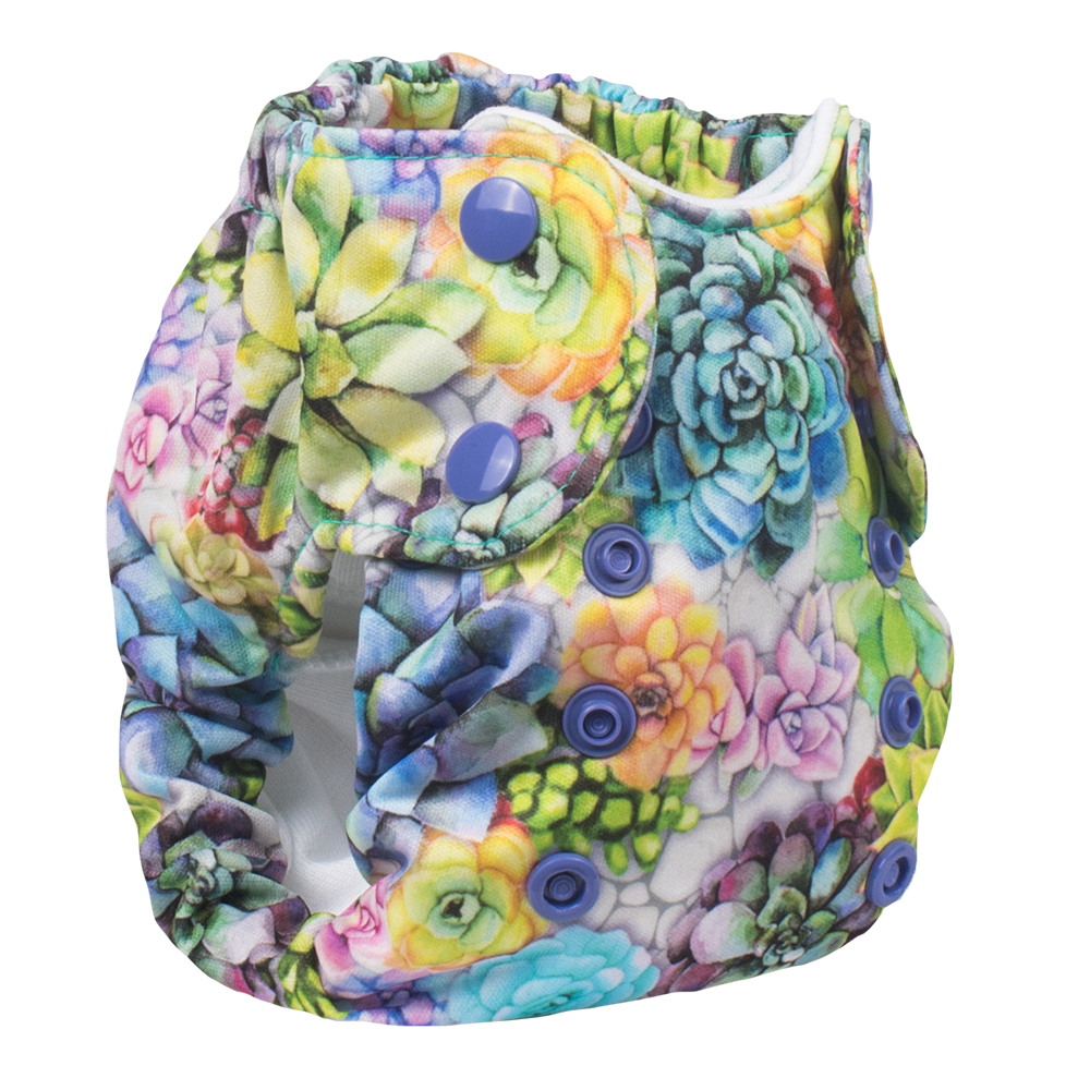 Born Smart 2.0 - Succa For You