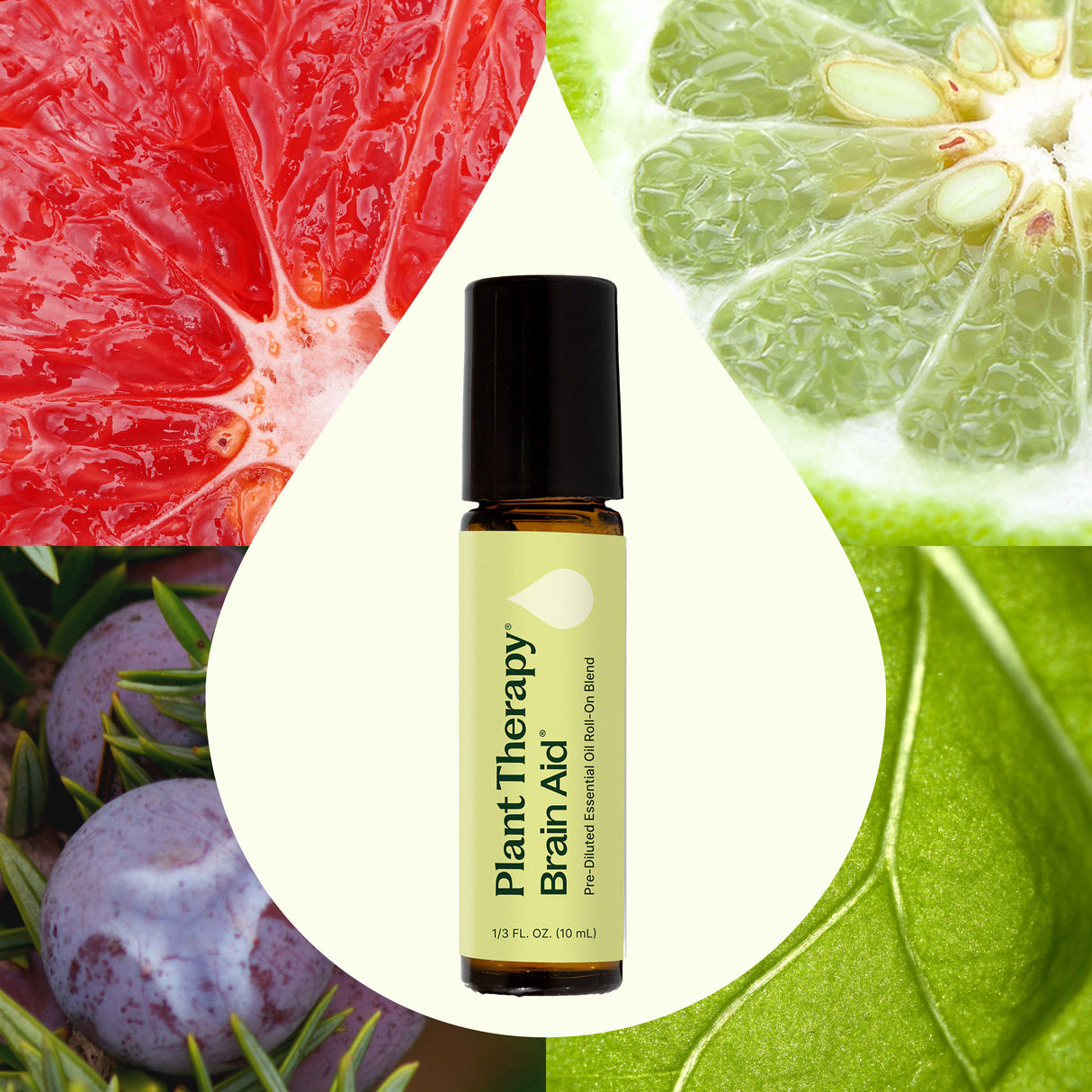 Brain Aid Essential Oil Blend Pre-Diluted Roll-On