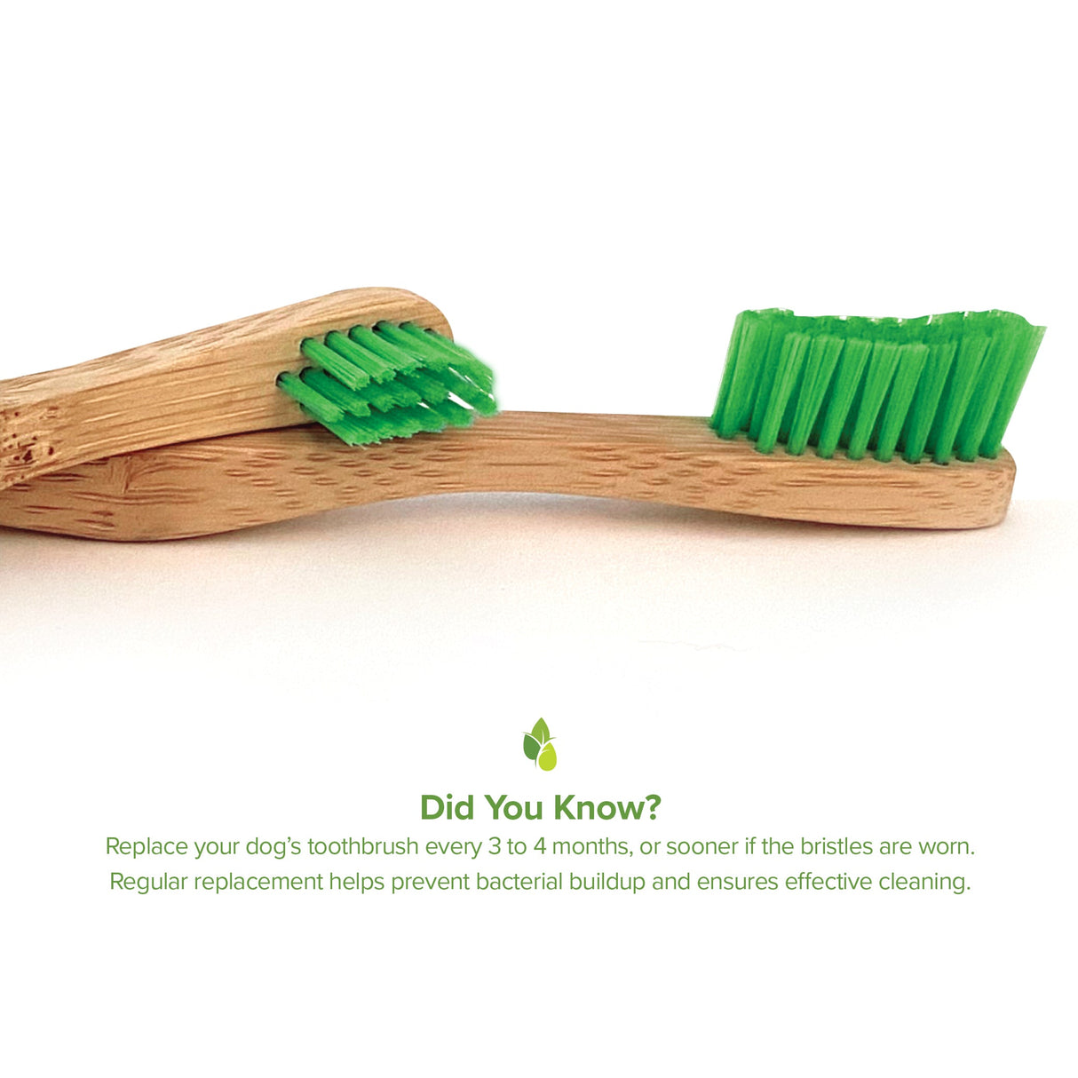 Bamboo Toothbrush for Large Dogs - Organic Dental Solutions®