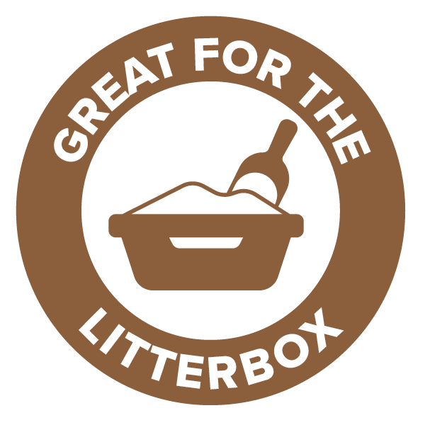 Stain and Odor Remover (Fragrance Free)