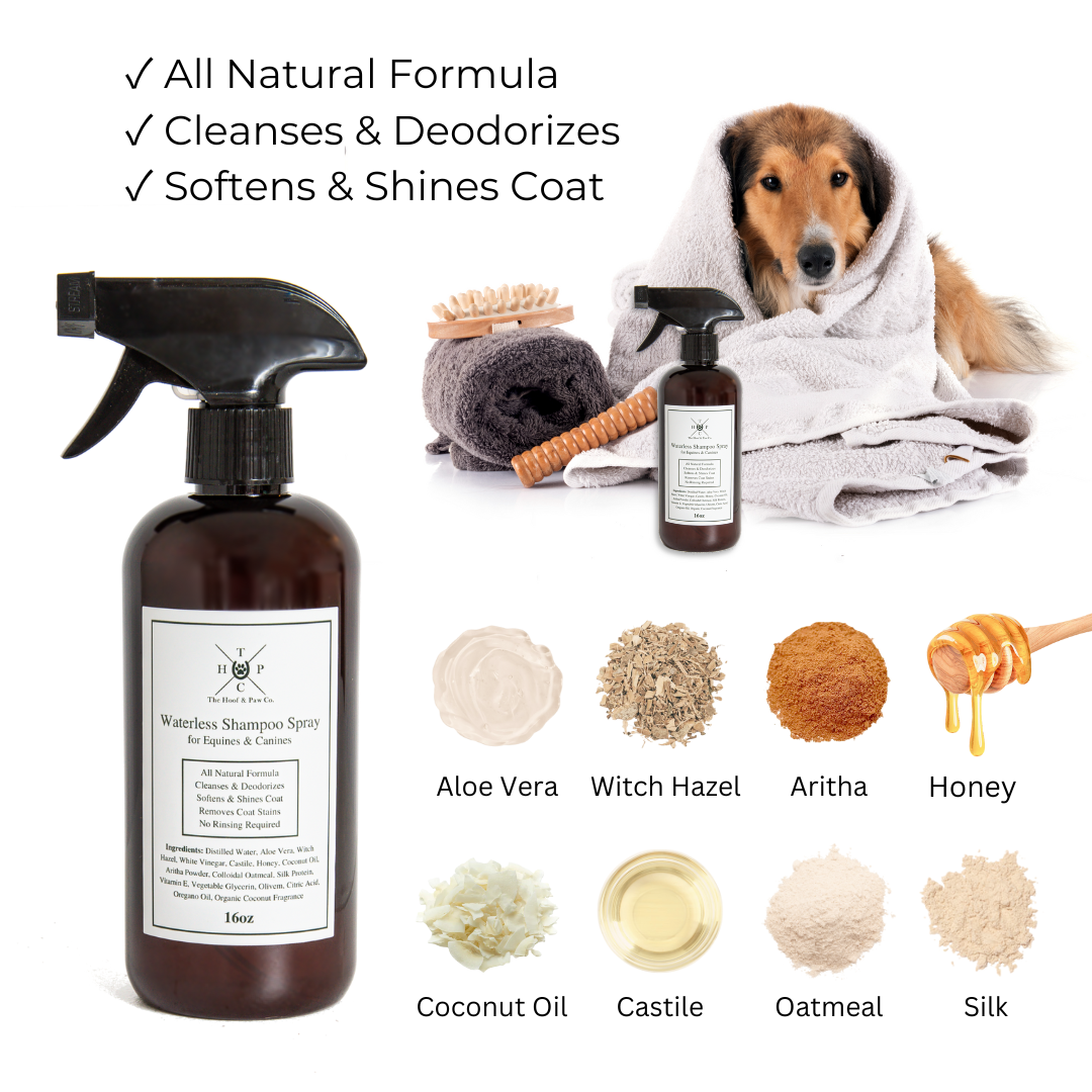 Waterless Shampoo Spray for Dogs & Horses - 16oz