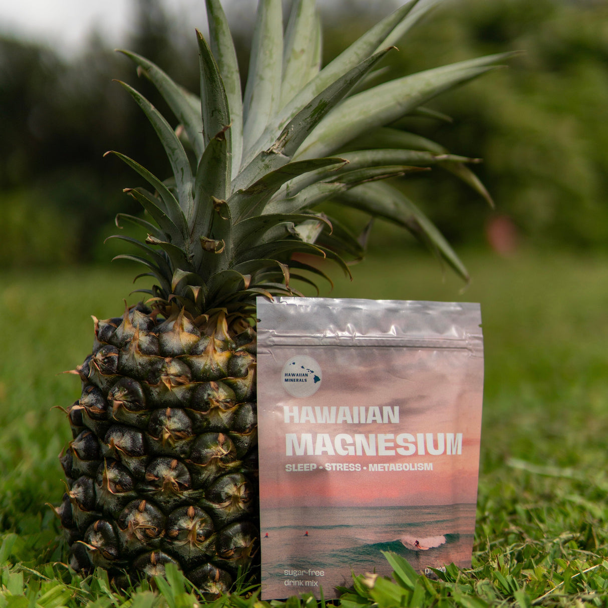 Pineapple Magnesium (sleep)