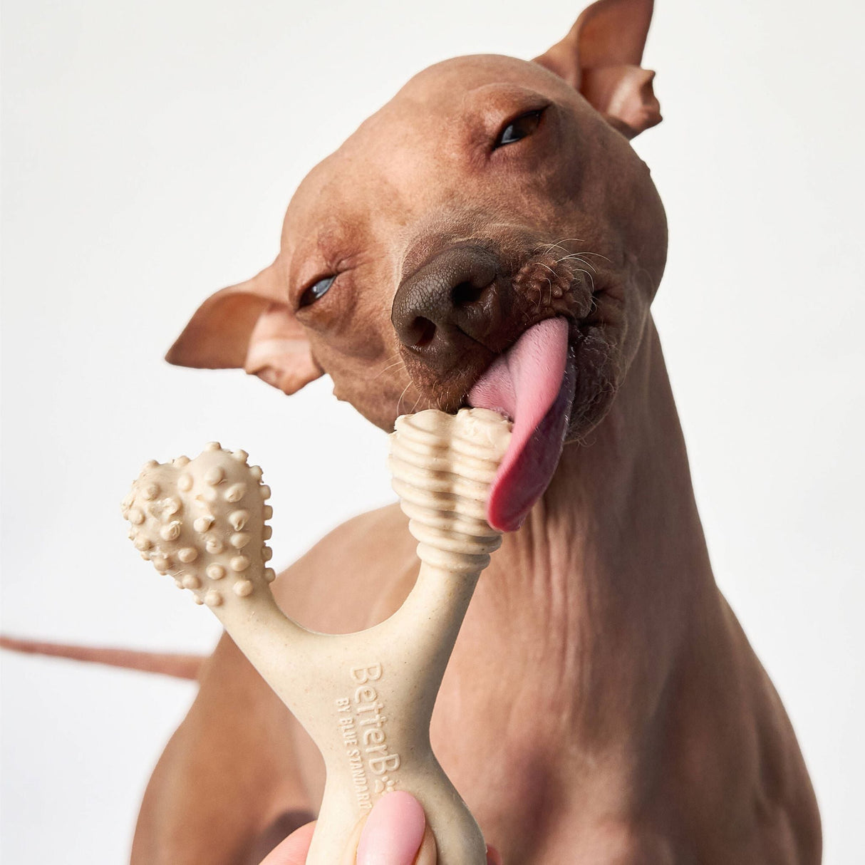 BetterBone SOFT Durability CHEW TOY: Natural Ingredients, Perfet for Teething Puppies, Senior Dogs & Gentle Chewers