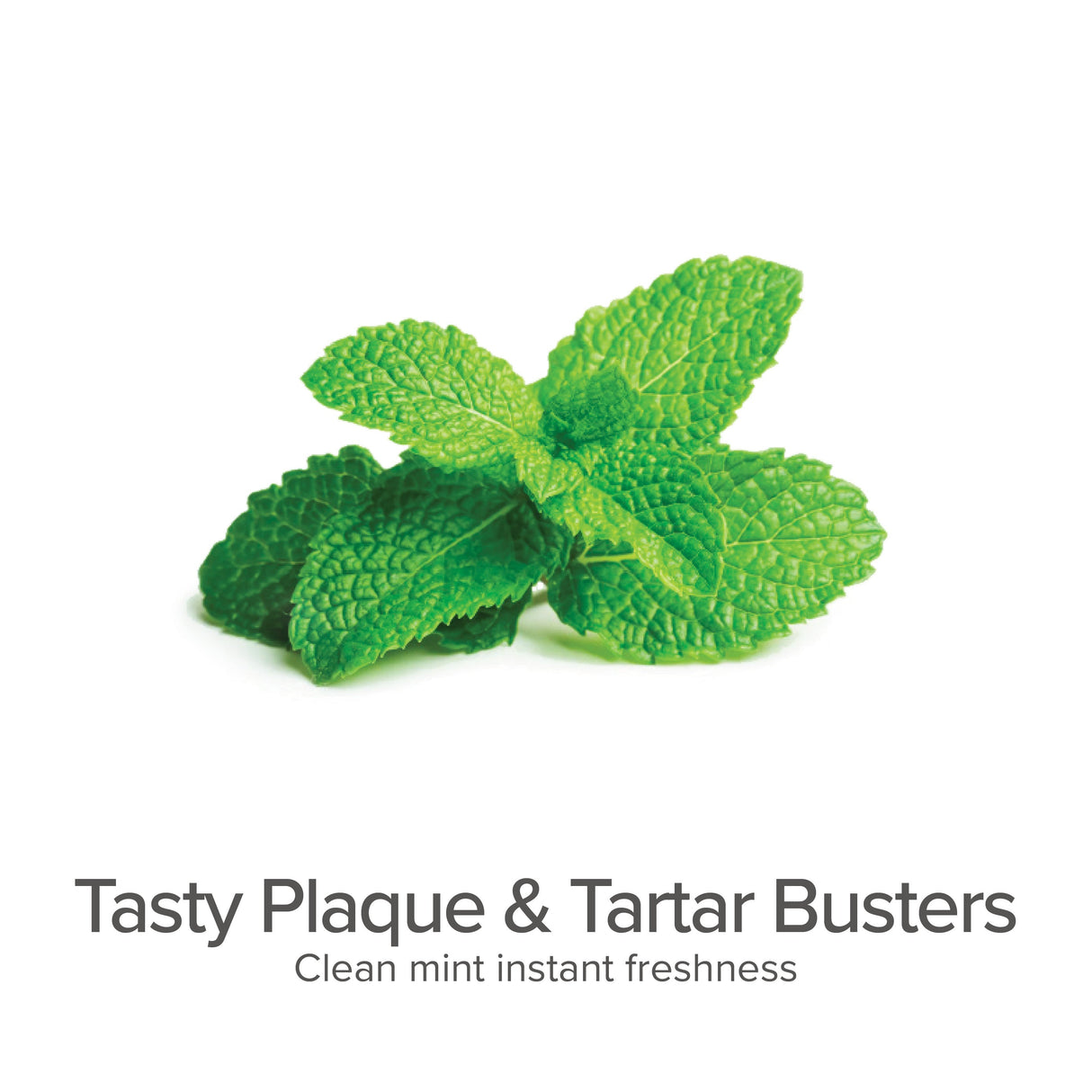 Plaque & Tartar Control Breath Spray for Dogs - Organic Dental Solutions®