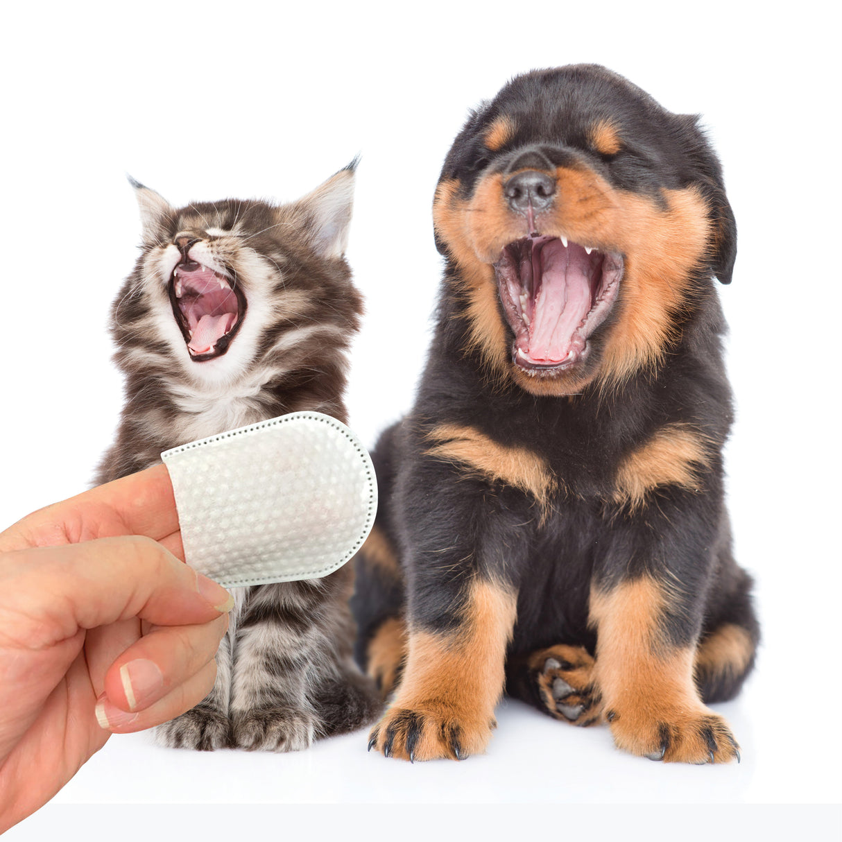 Plaque & Tartar Removing Dental Finger Wipes for Cats & Dogs - Organic Dental Solutions®