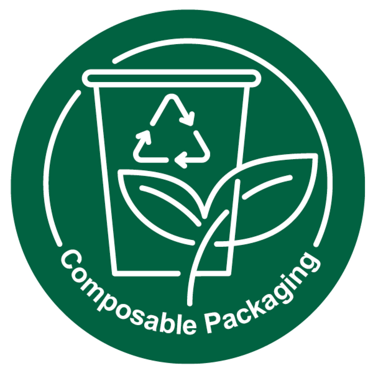 Ear Cleansing System