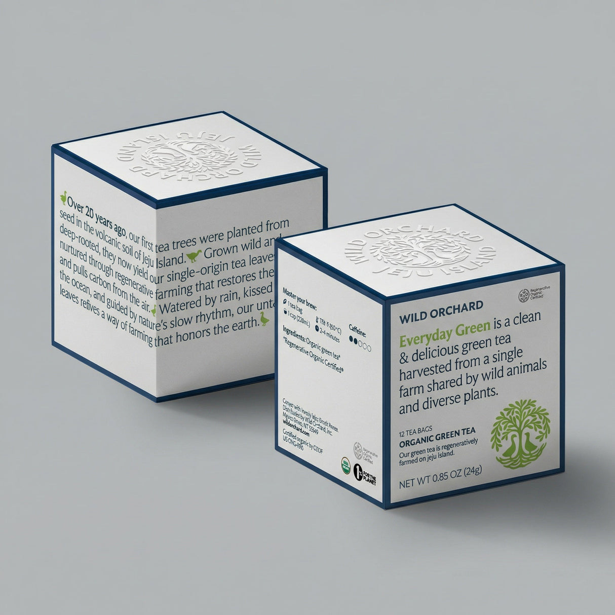 Everyday Green - Organic Green Tea Bag