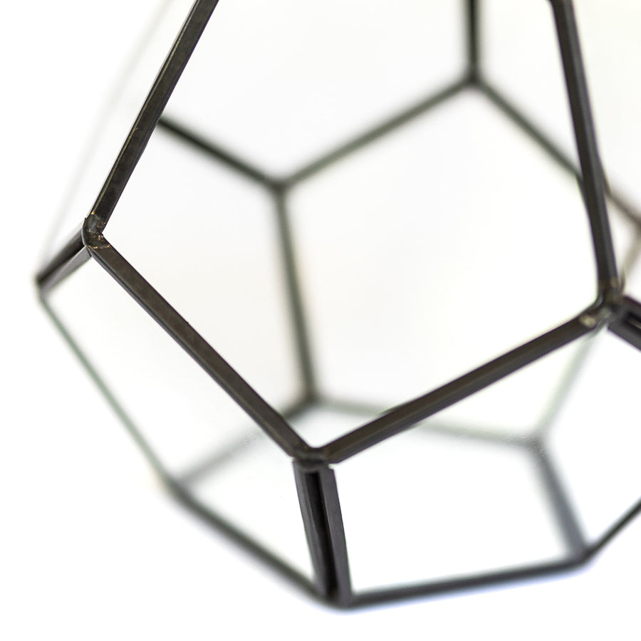 Glass Diamond Terrarium