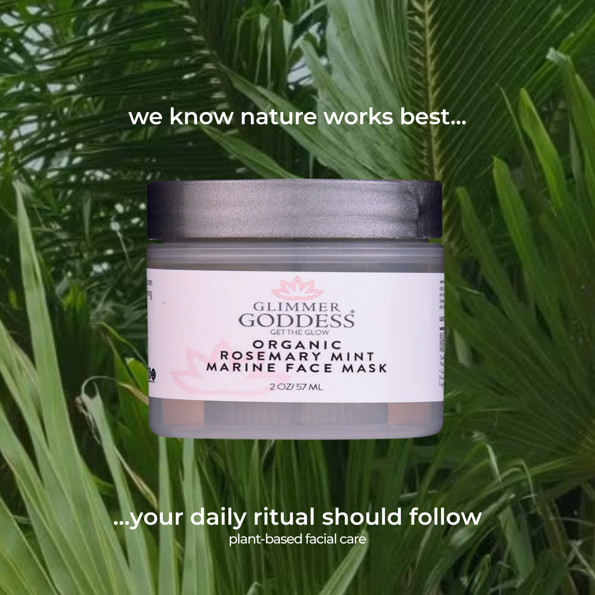 Organic Rosemary Mint Algae Face Mask