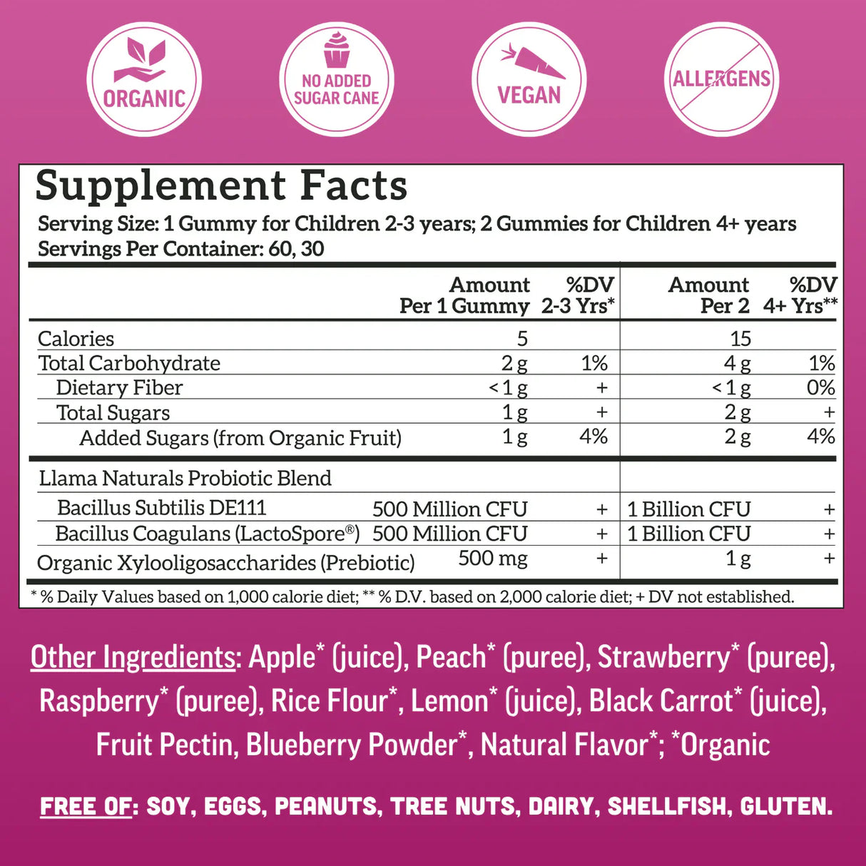 Kids Gut & Immune Support Bundle – Pre & Probiotic + Elderberry Gummies