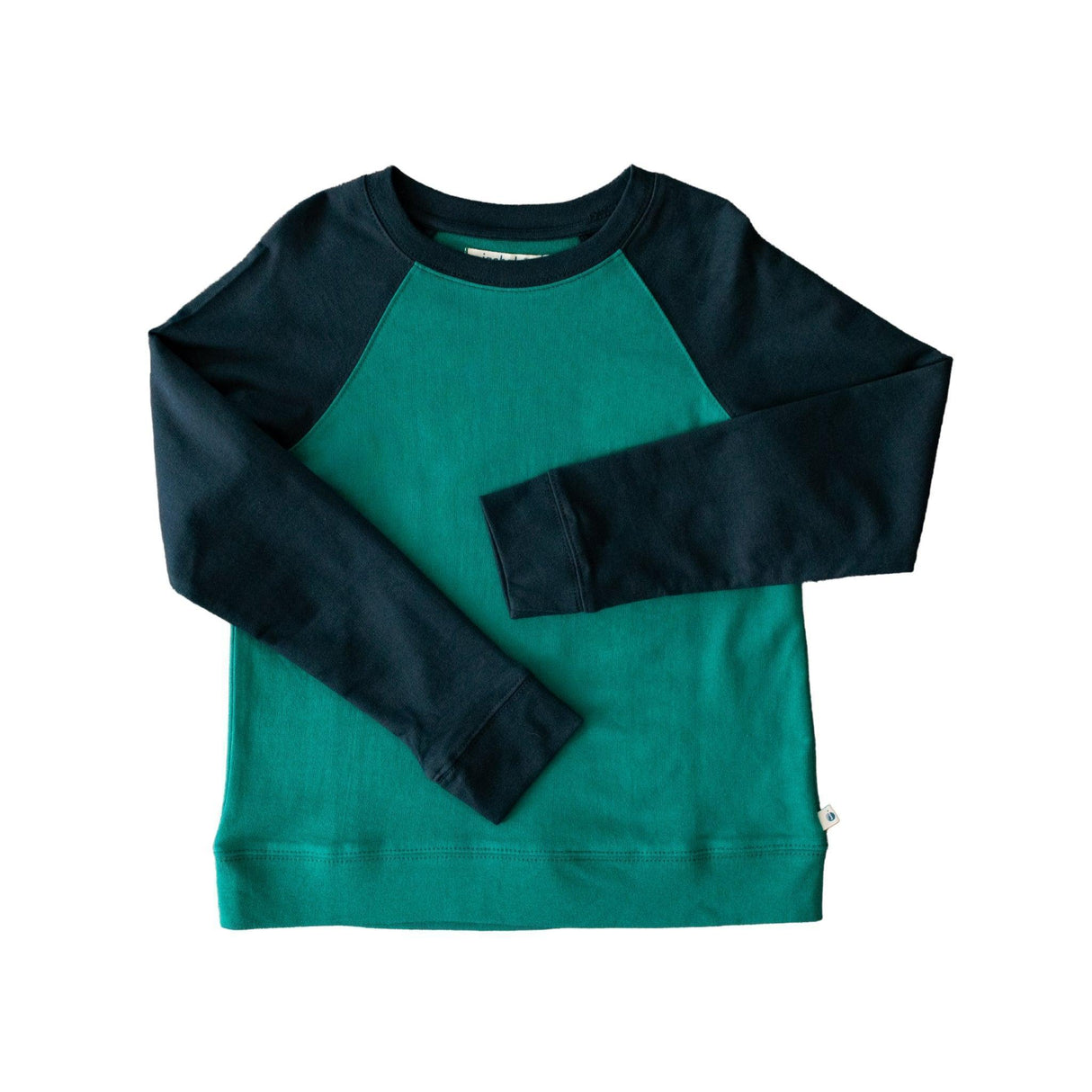 Stevie Raglan Sweatshirt Colorblock