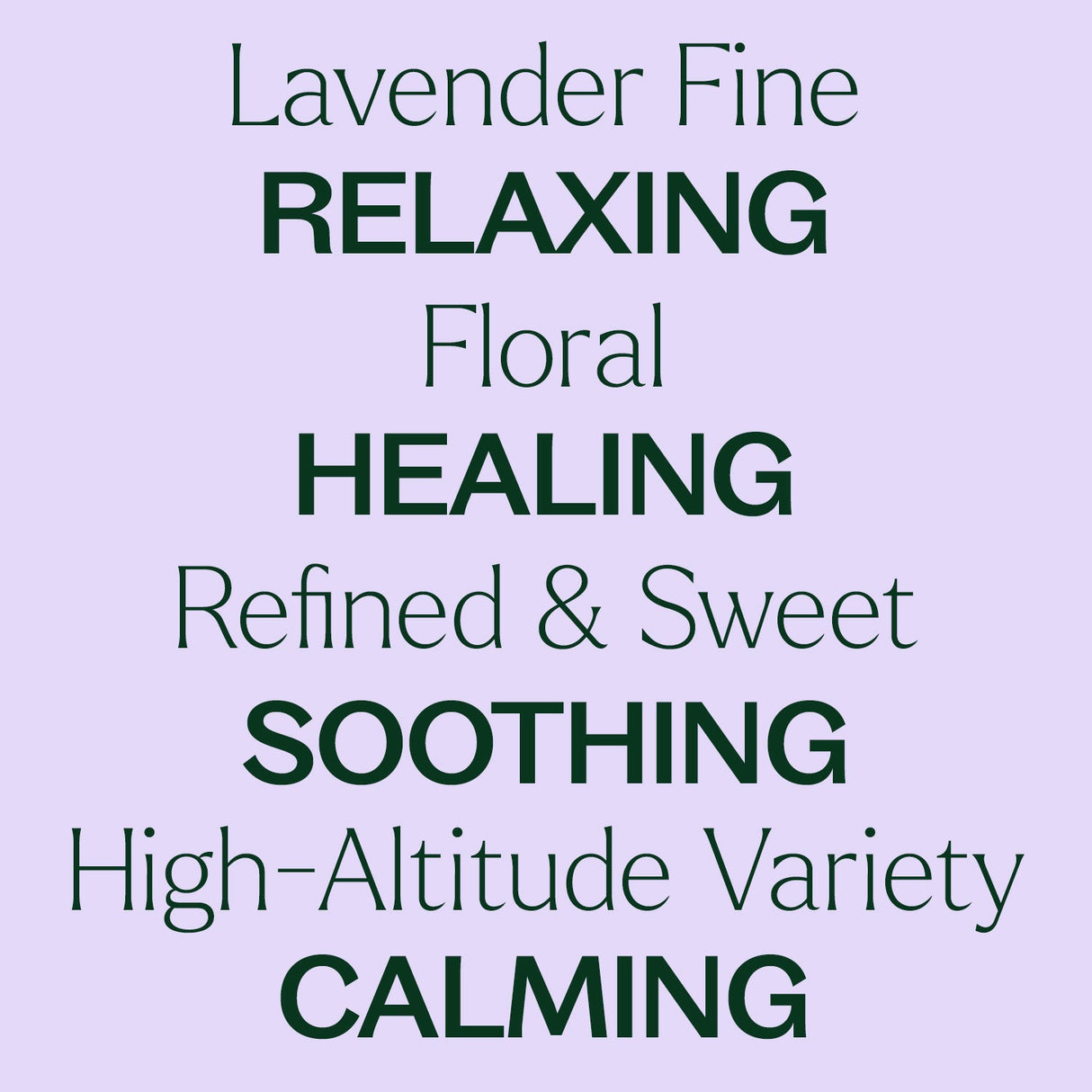 Lavender Fine Essential Oil