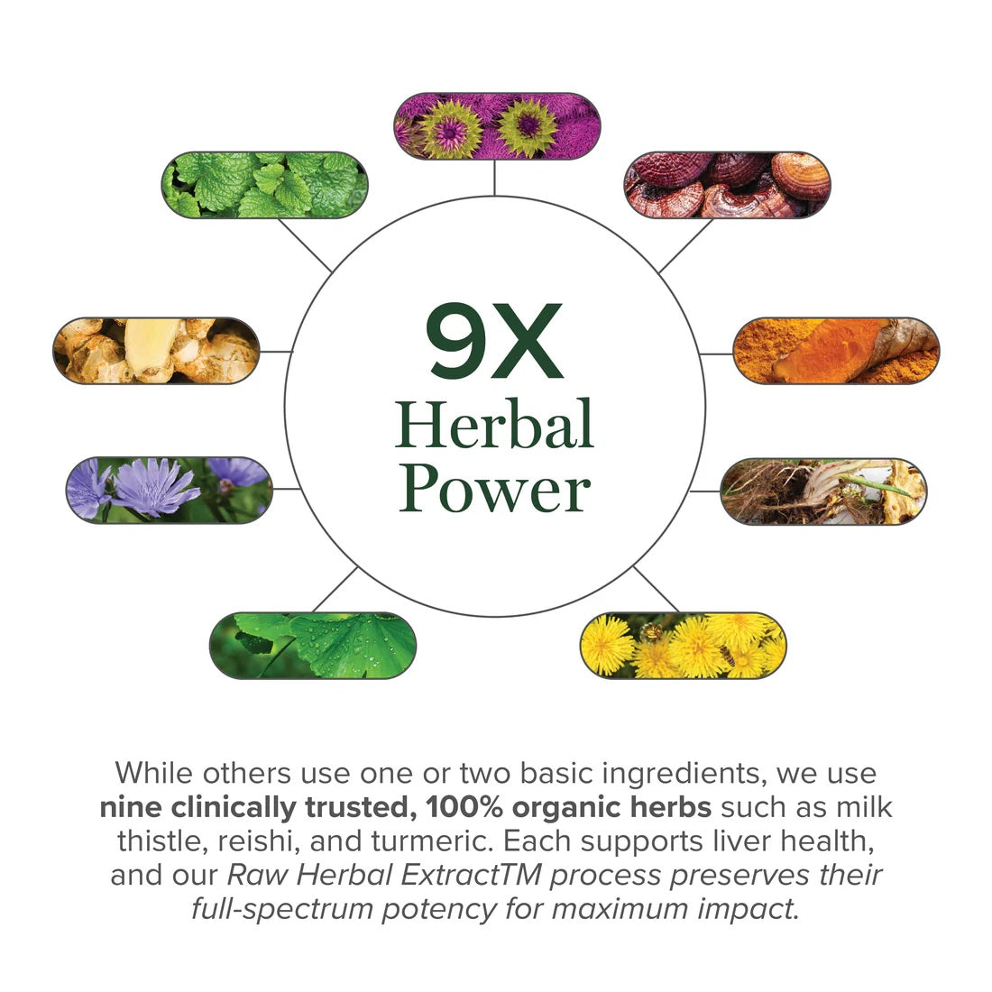 Global Healing - Liver Health Herbal Extract