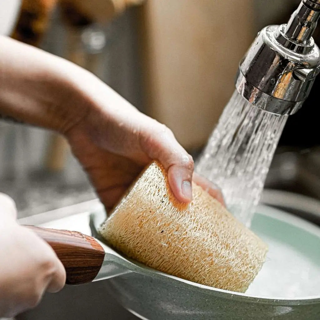 Natural Loofah | Organic Exfoliating Sponge