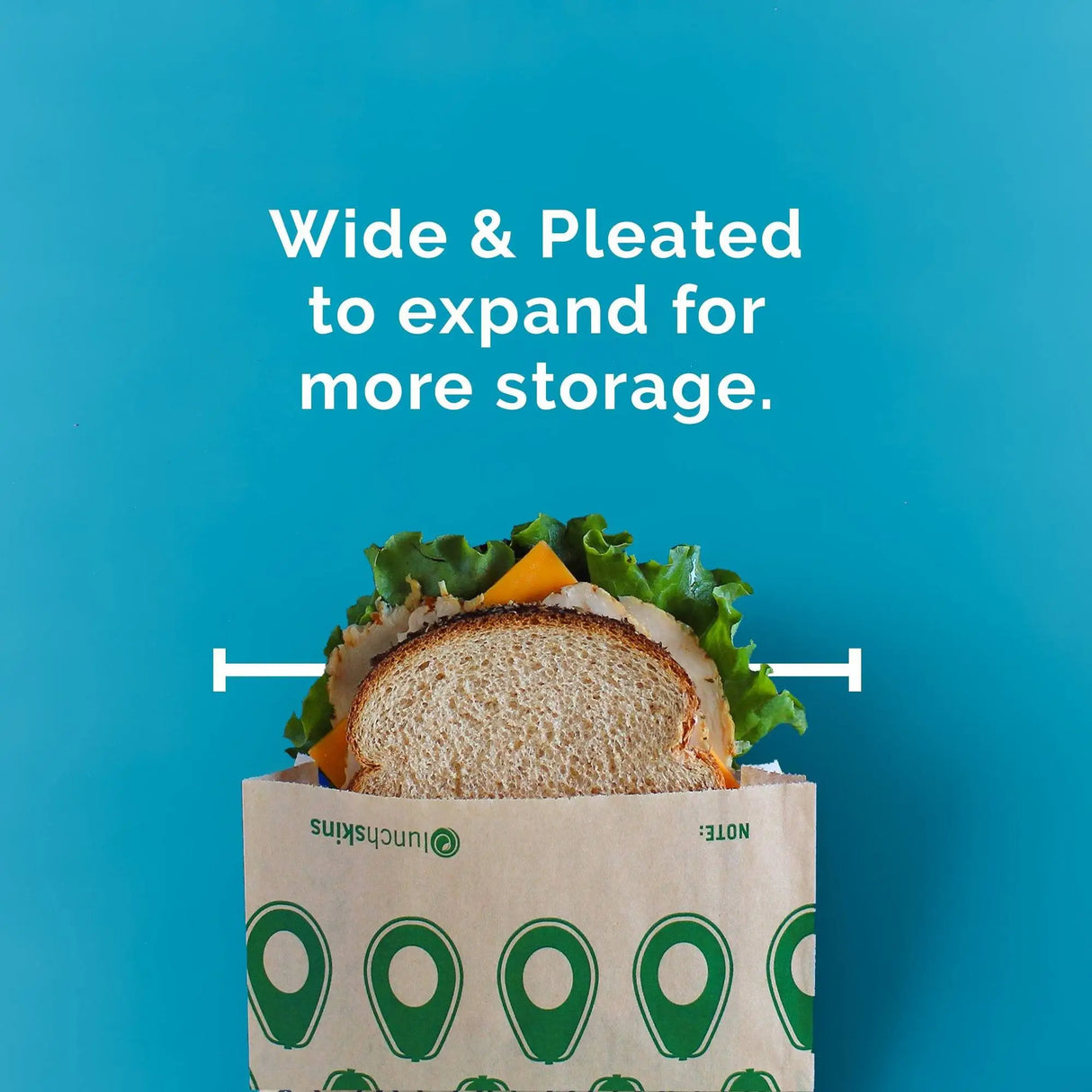 Paper Sandwich Bags (50-Pack) – Compostable, Plastic-Free & Food Safe