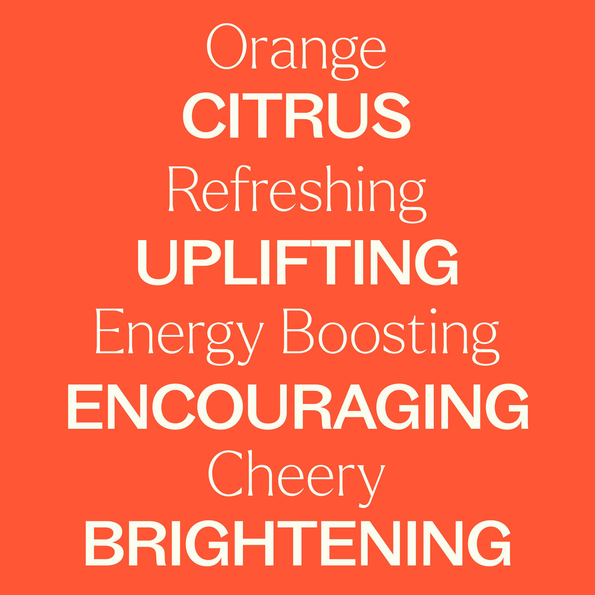 Orange Essence Oil