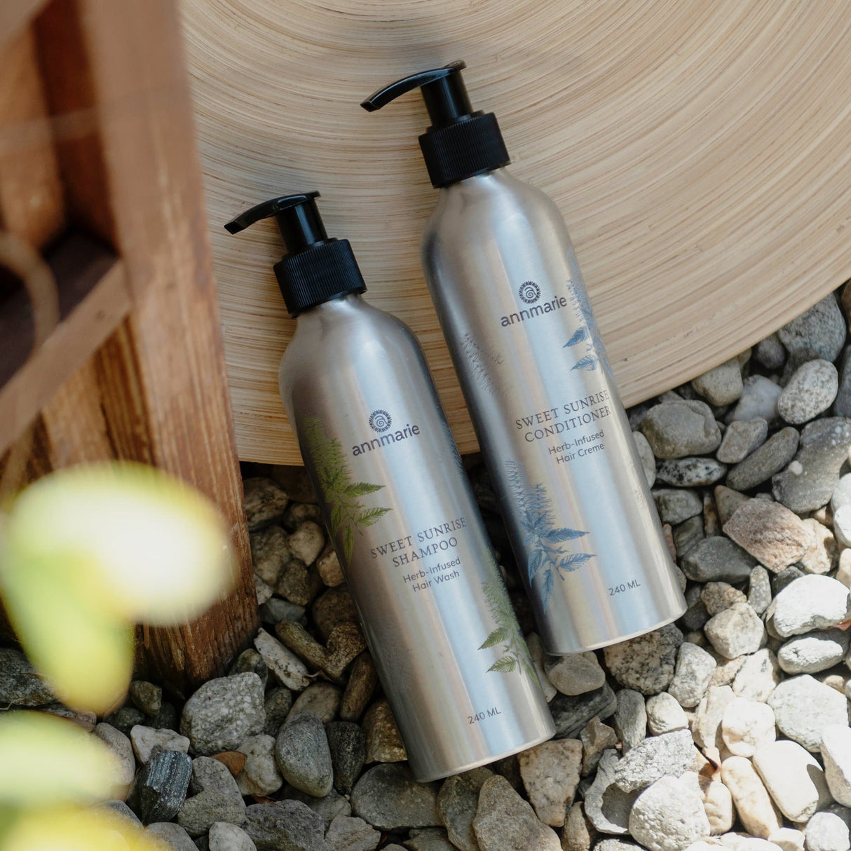 Sweet Sunrise Conditioner (240ml)- Collective