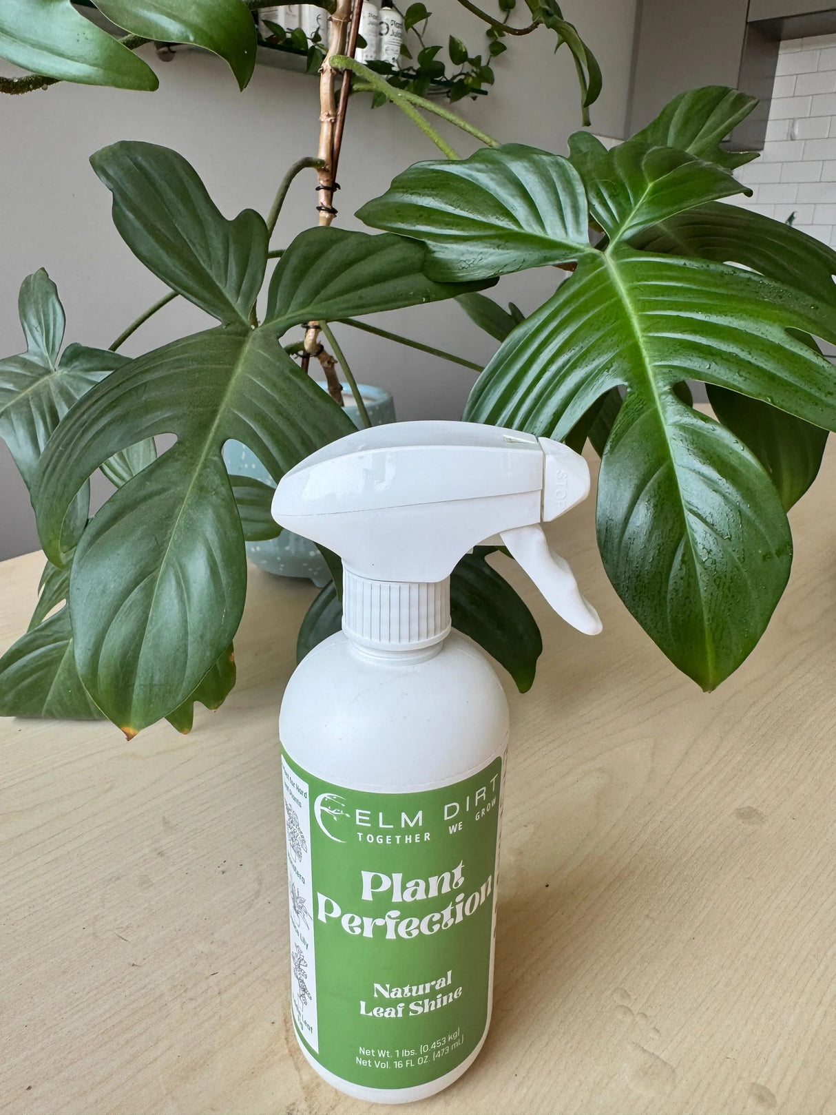 Plant Perfection