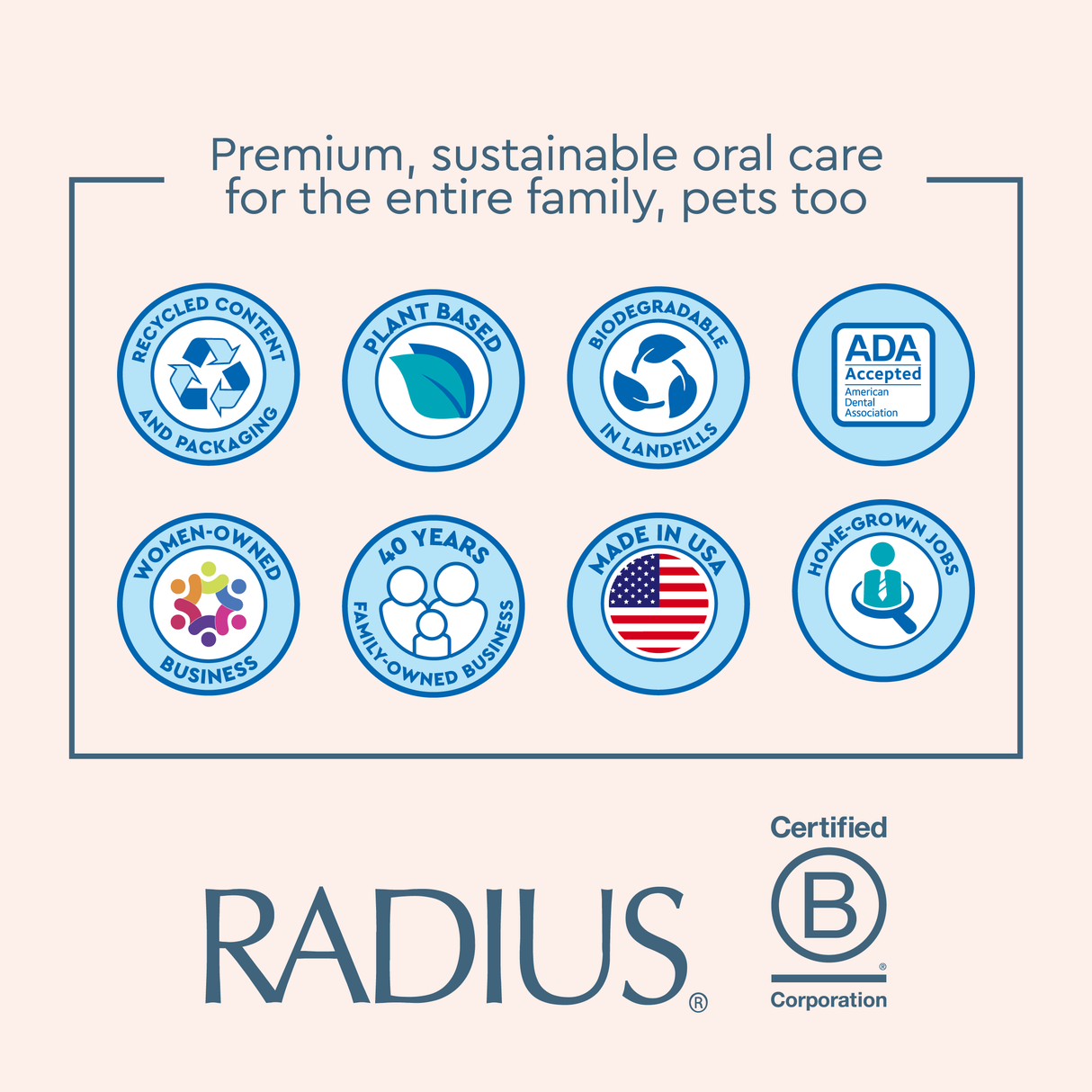 Brush Replacement Heads (2 Pack - Source & TOUR)