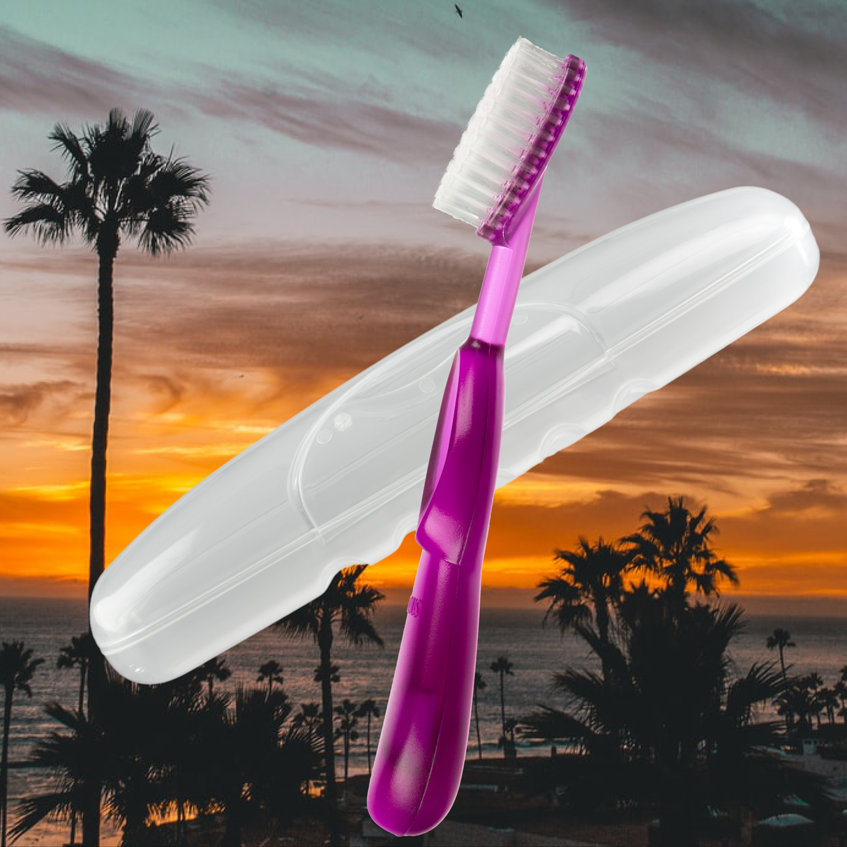 Original Toothbrush in Free Travel Case