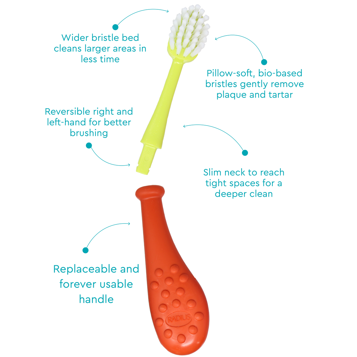 Big Kidz® Replaceable Head Forever Brush® (6yrs+)