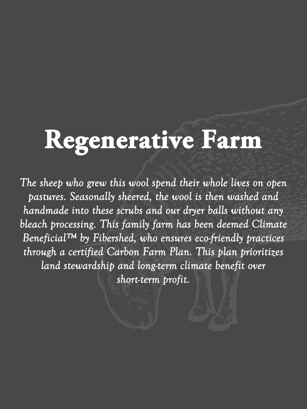 Sustainable Wool Scrub