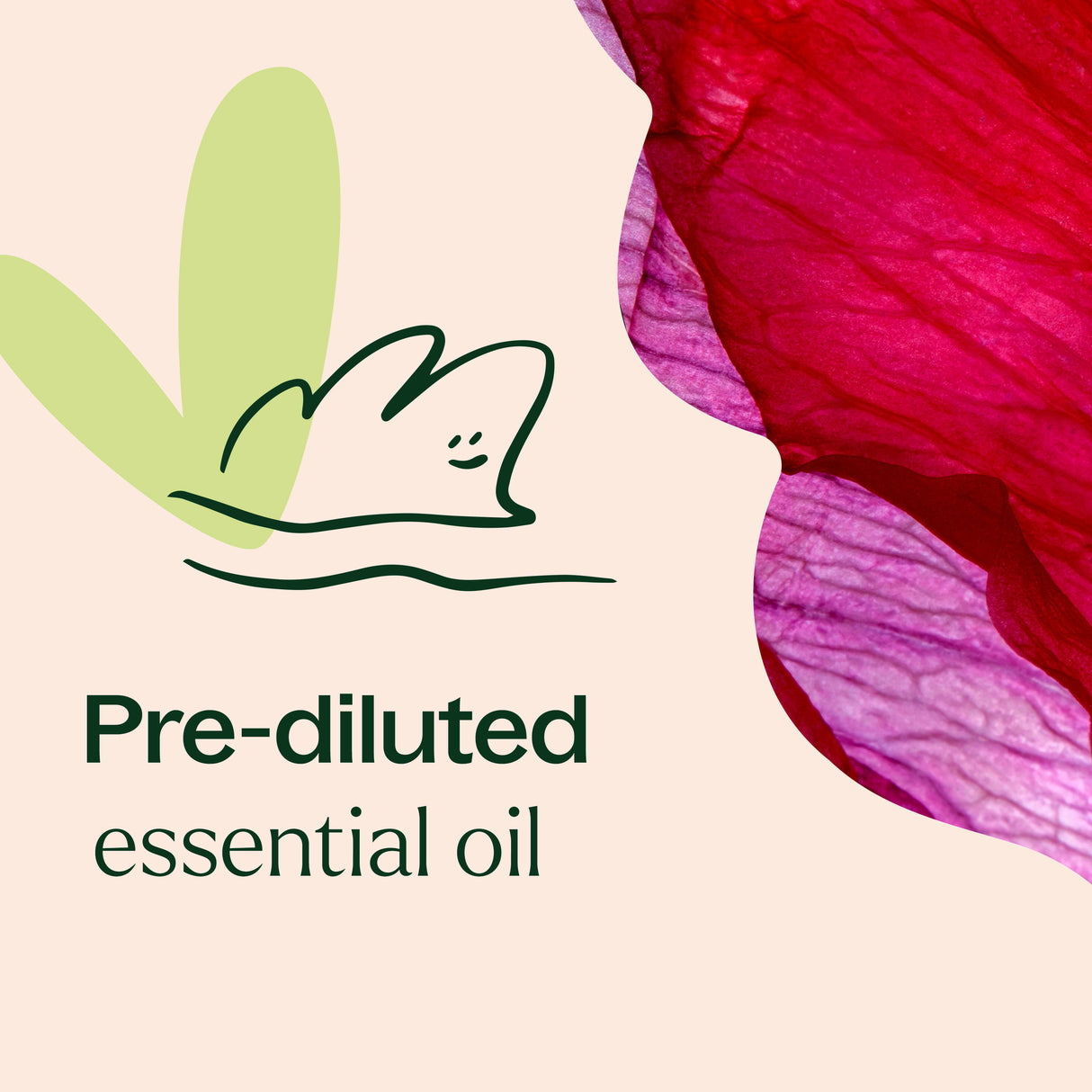 Rose Absolute Pre-Diluted Roll-On