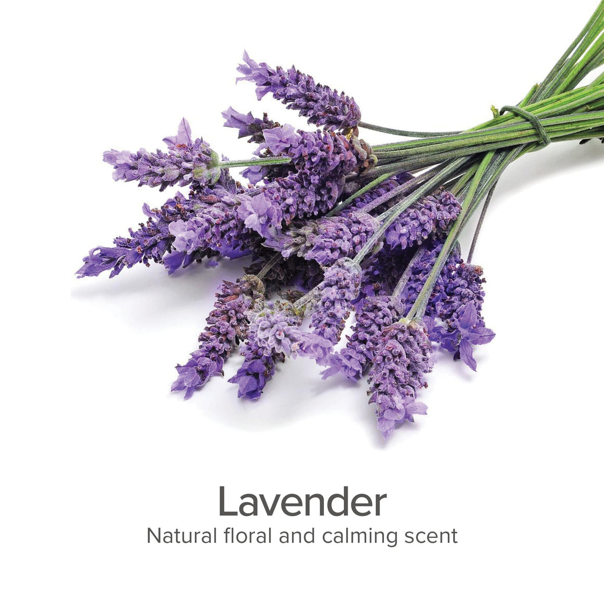Calming Lavender Detangling & Conditioning Spray