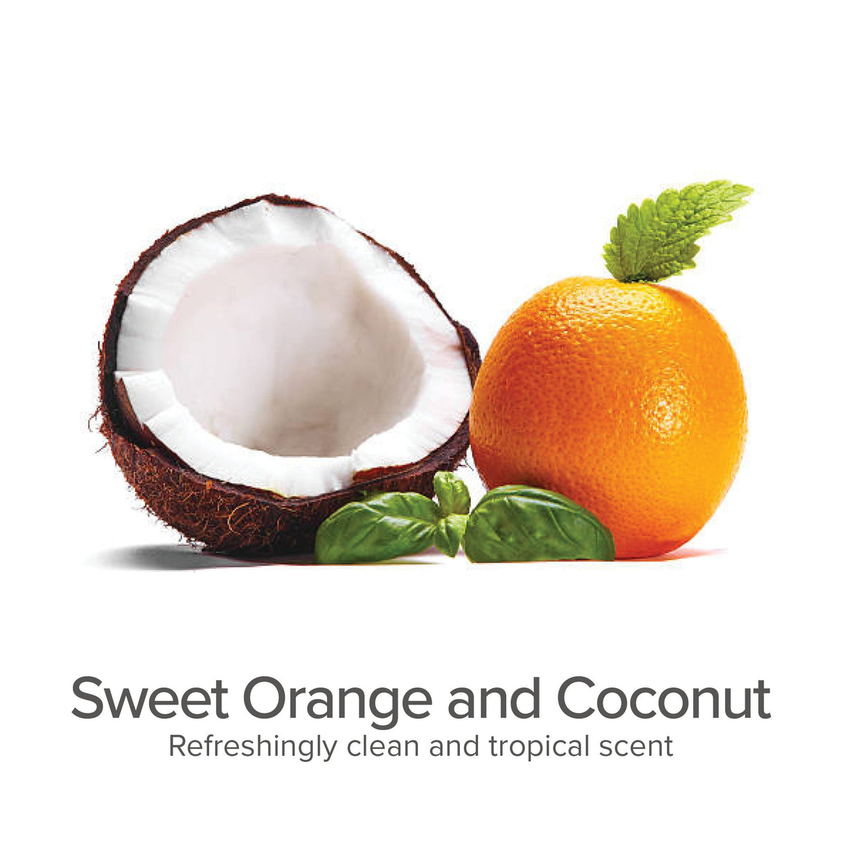 3-in-1 Shed Control Shampoo with Conditioner (Sweet Orange & Coconut)