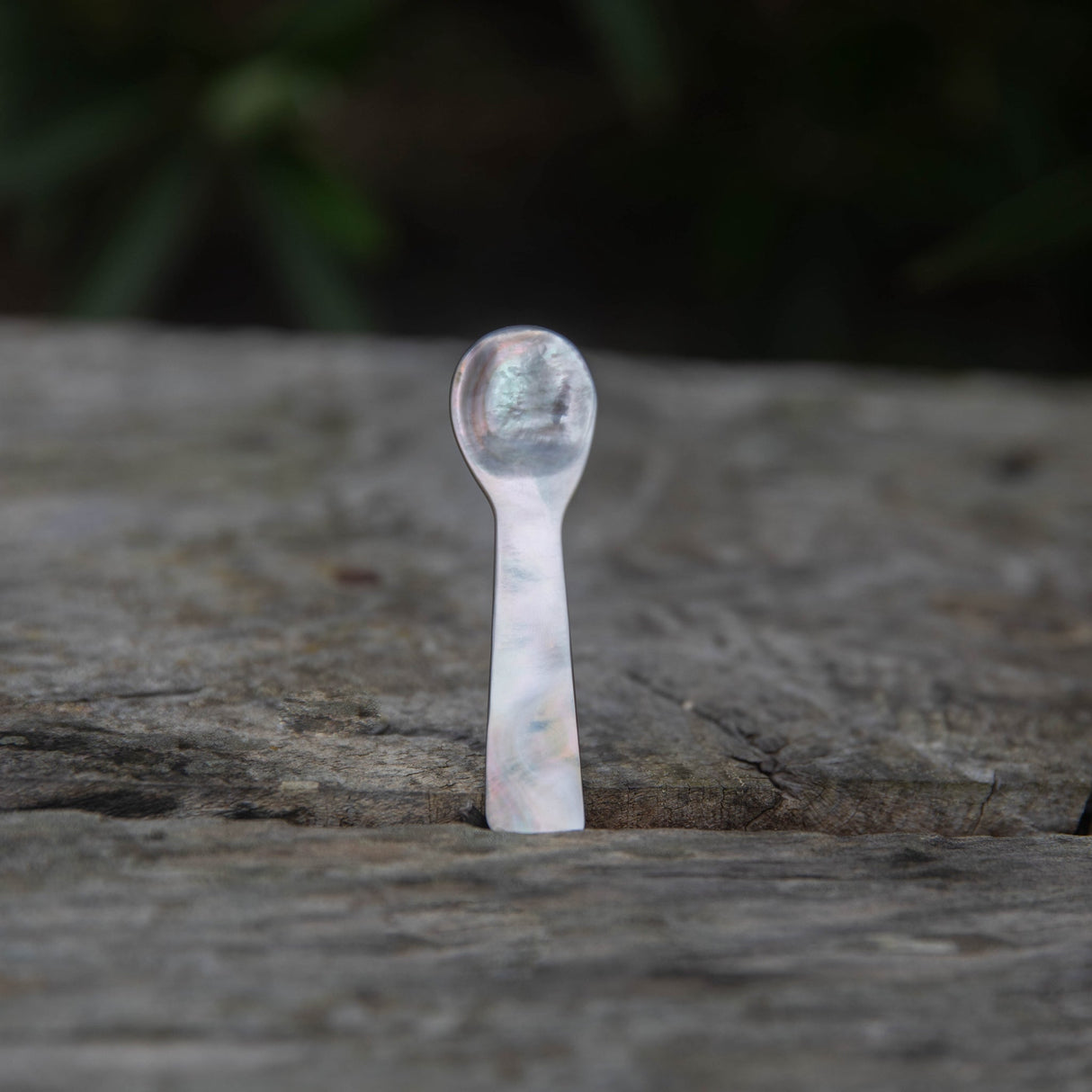 Leaves & Wood Solid Perfume Balm + Mother of Pearl Spoon