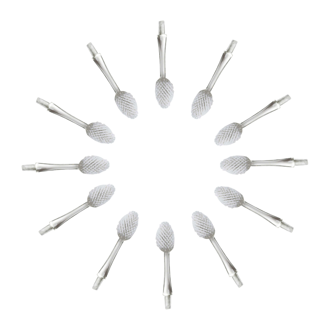 Brush Replacement Heads (2 Pack - Source & TOUR)