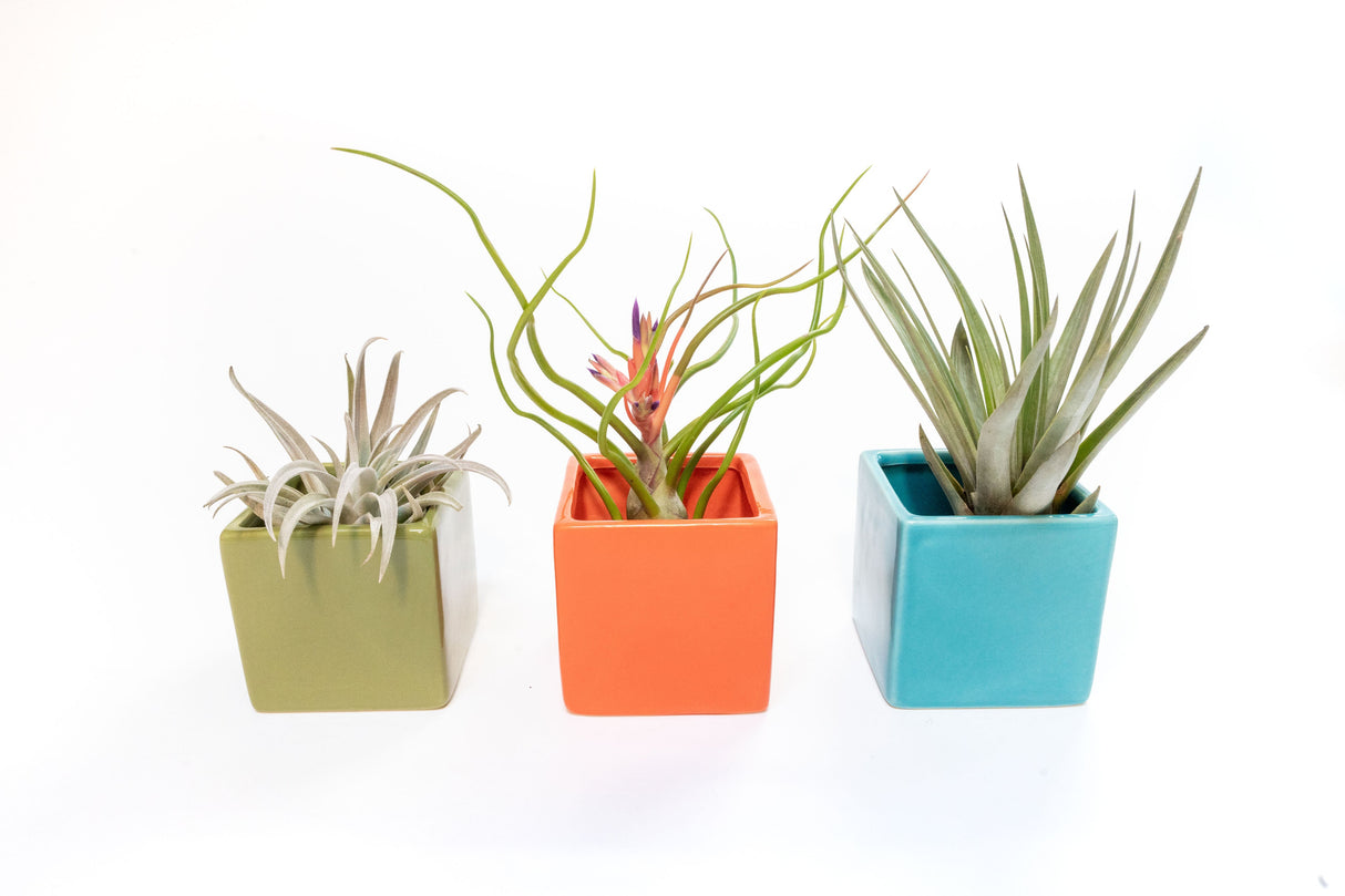 Ceramic Cube Container - Choose Your Color