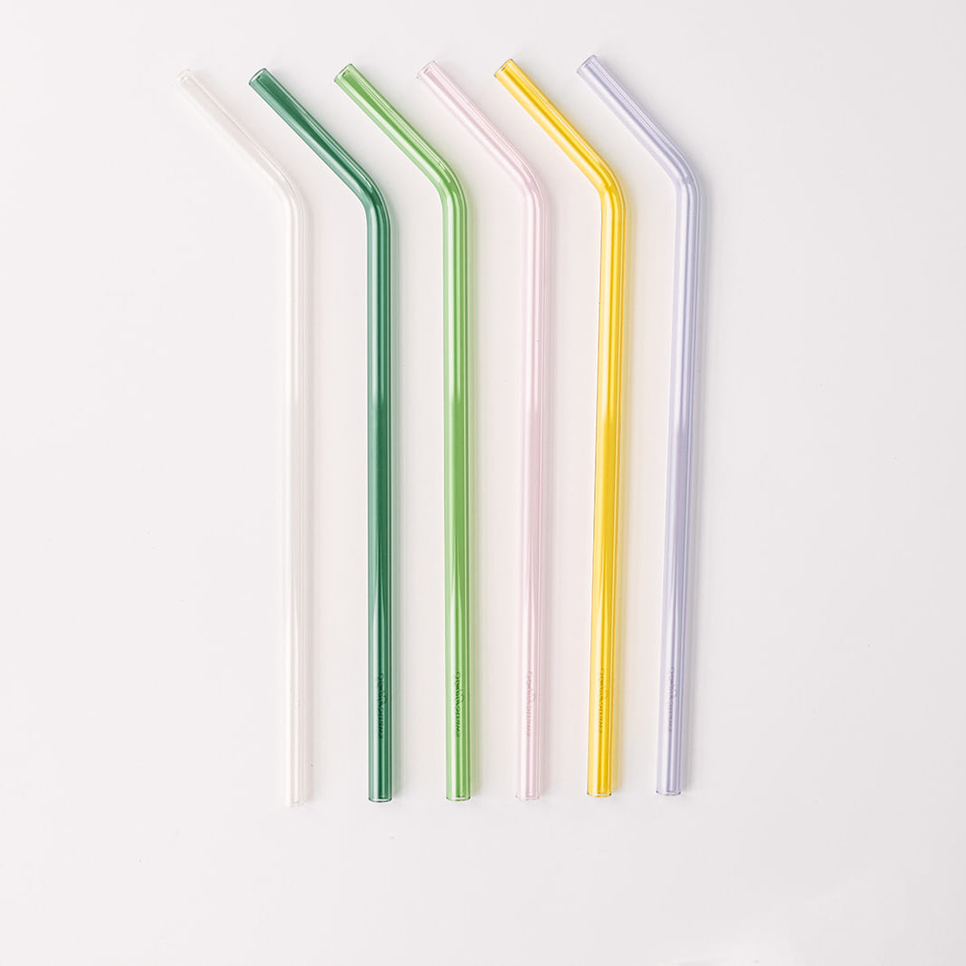 Tumbler 12" Glass Straw Set - Meadow