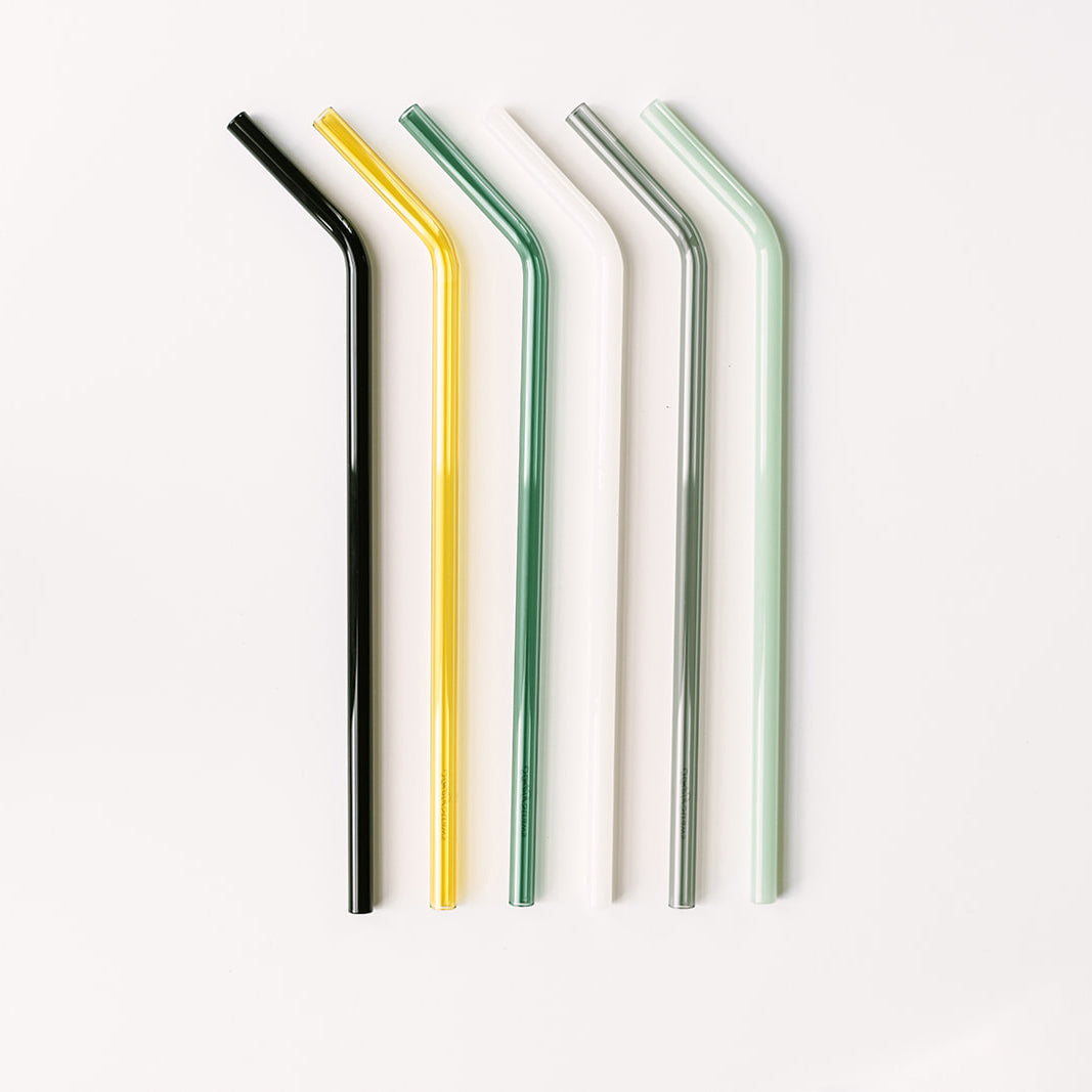 Tumbler 12" Glass Straw Set - Fjord Mist